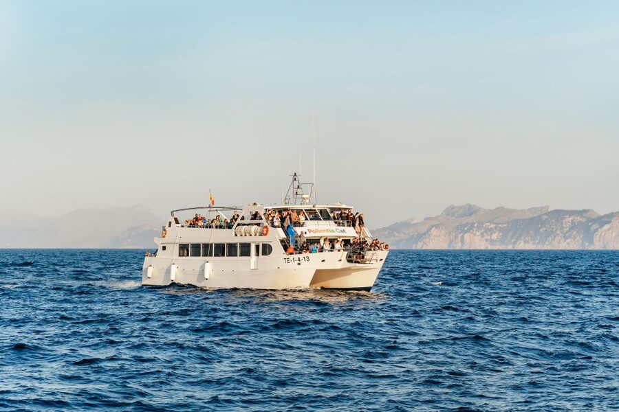 Port d'Alcudia: Sunrise at Sea & Dolphin Watching Boat Tour - Why Sunrise + Dolphins Works So Well Off Alcúdia