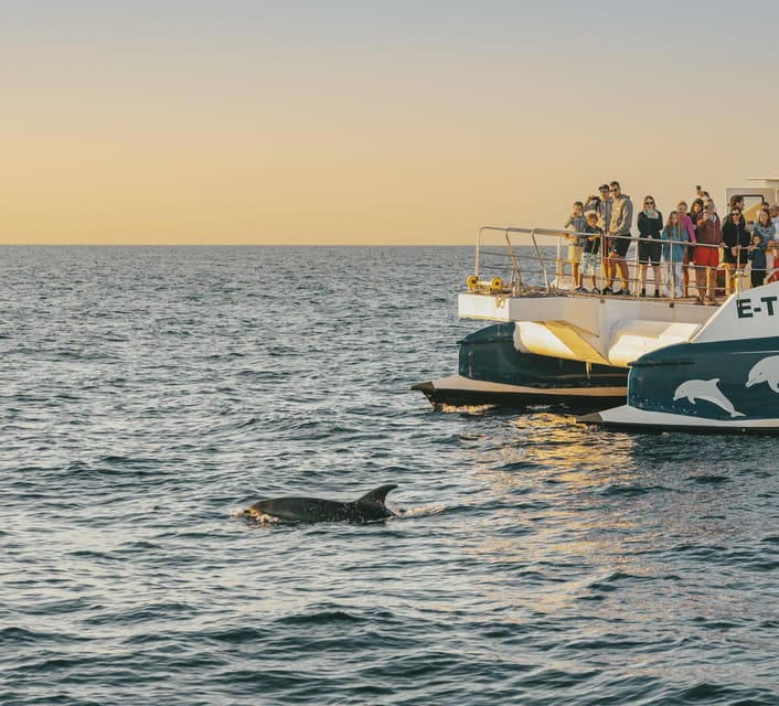 Port d'Alcudia: Sunrise at Sea & Dolphin Watching Boat Tour - Getting In: The Passeig Marítim Meeting Point (and Why It Matters)