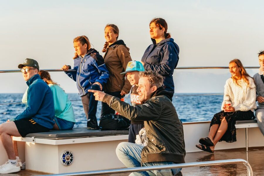 Port d'Alcudia: Sunrise at Sea & Dolphin Watching Boat Tour - Dolphin Watching Off Mallorca’s North Coast: What the 30 Minutes Feels Like