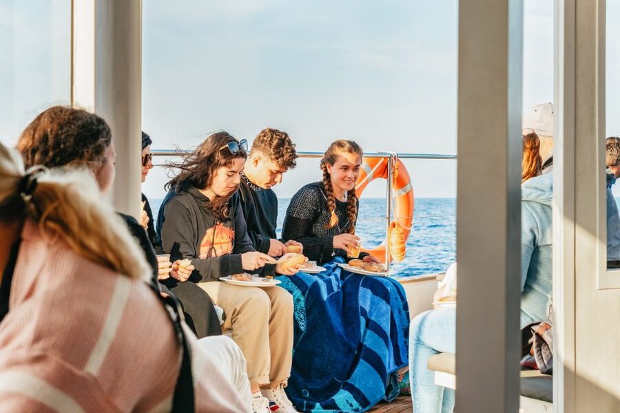 Port d'Alcudia: Sunrise at Sea & Dolphin Watching Boat Tour - Who This Tour Is Best For (And Who Should Rethink It)