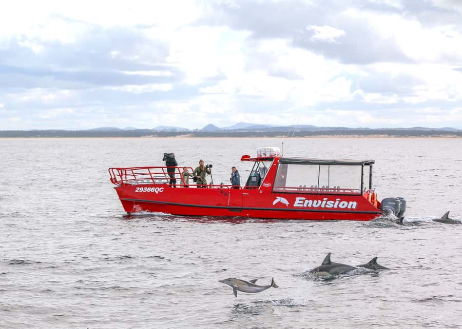 Port Stephens: 1hr Dolphin Watch Express - Why a 1-Hour Dolphin Cruise Feels Like the Smart Option in Nelson Bay