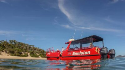 Port Stephens: 1hr Dolphin Watch Express - Where You Board Envision at D’Albora Marinas (Dock C)