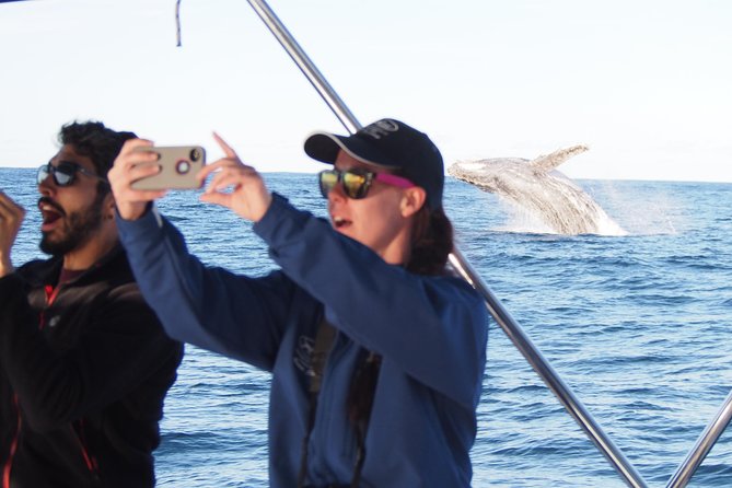 Port Stephens 3 Hour Whale and Dolphin Watch Cruise - Setting Off From Nelson Bay: A Simple 3-Hour Plan