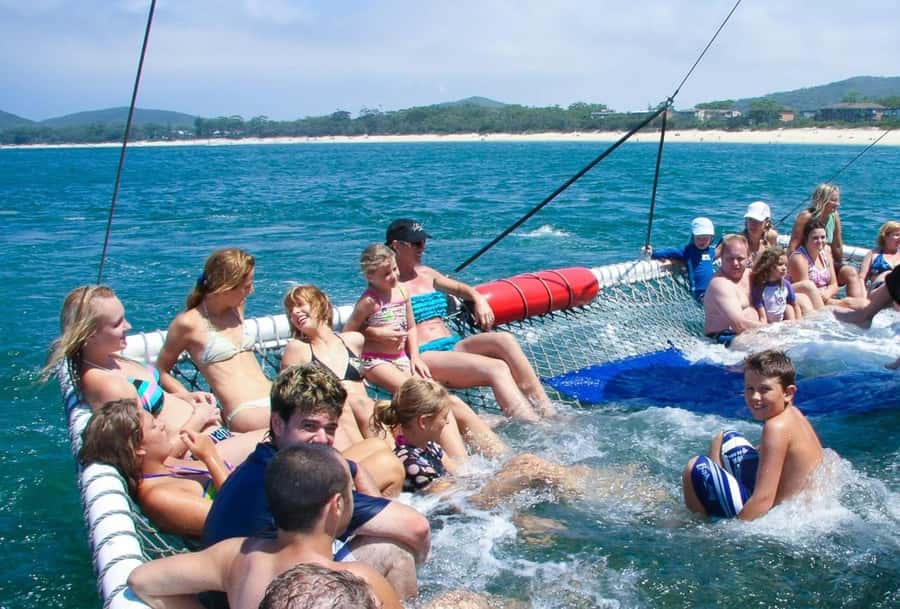 Port Stephens: Dolphin Cruise, Lunch, Koalas & Sandboarding - PS Koala Sanctuary: story walk, SKYwalk, and why this rehab mission matters