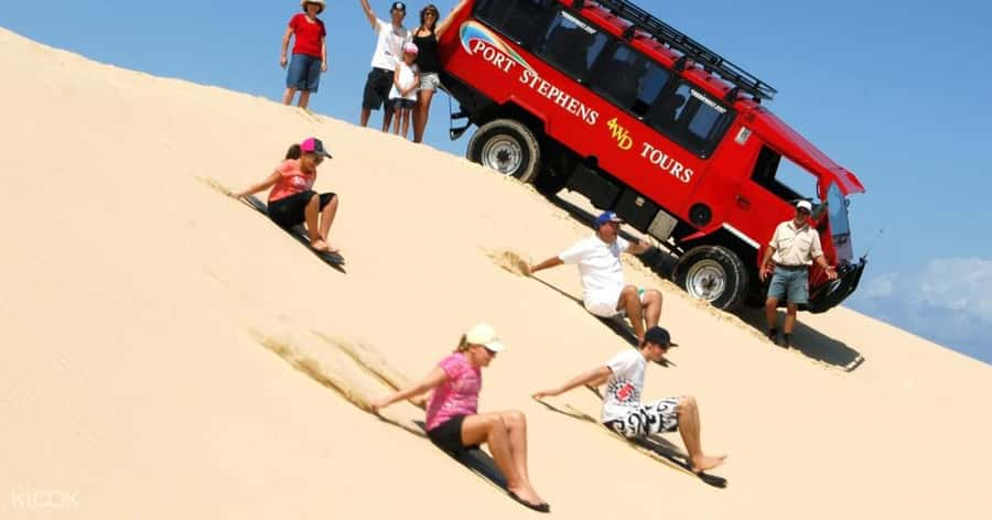 Port Stephens: Dolphin Cruise, Lunch, Koalas & Sandboarding - Should you book the Port Stephens dolphin cruise, lunch, koalas & sandboarding?