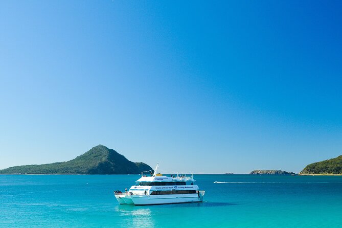 Port Stephens: Dolphin Discovery Cruise - Starting at Dock C: where you meet and how boarding feels