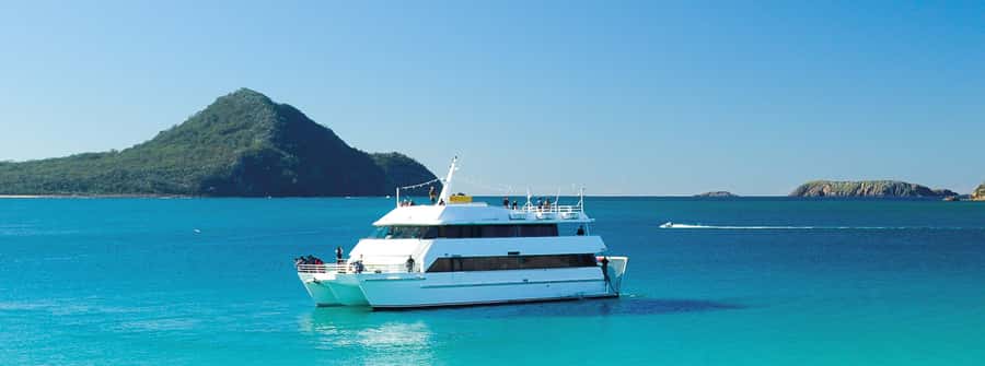 Port Stephens: Dolphin, Lunch, Koalas&Sandboarding -Mandarin - Nelson Bay dolphin watching cruise: what you can realistically expect