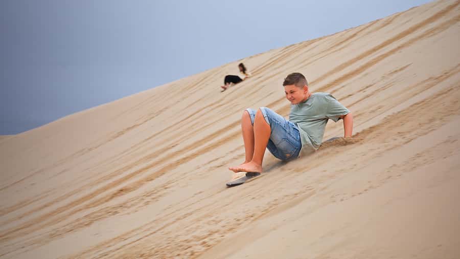 Port Stephens: Dolphin, Lunch, Koalas&Sandboarding -Mandarin - Stockton Beach 4WD and sandboarding at Anna Bay