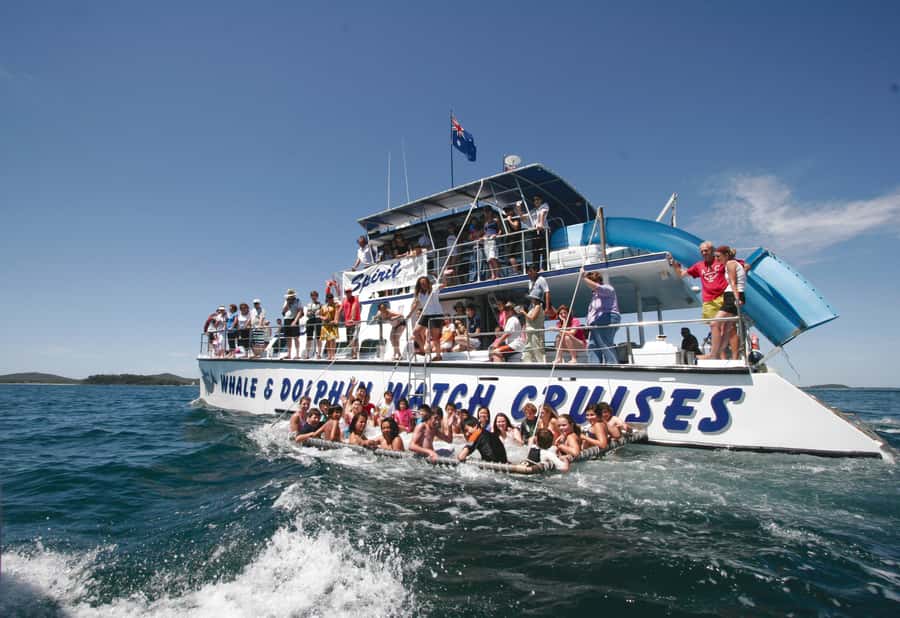 Port Stephens: Dolphin Watch Cruise with Swimming and Slides - Catamaran Fun: Boom Nets, Slides, and That Spa-Time Feeling