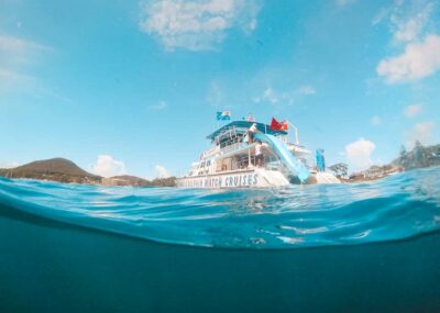 Port Stephens: Dolphin Watch Cruise with Swimming and Slides - The Dolphin Search: What You’re Looking For