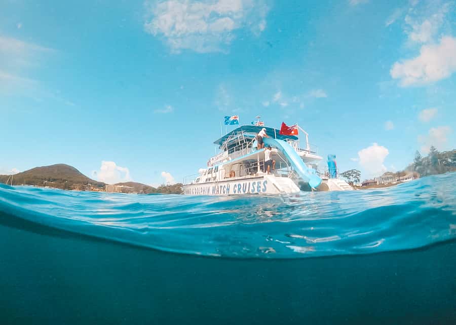 Port Stephens: Dolphin Watch Cruise with Swimming and Slides - The Dolphin Search: What You’re Looking For