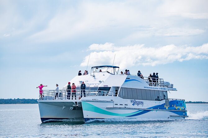 Port Stephens: Dolphin Watch Eco Adventure - Key Highlights You’ll Actually Feel Onboard