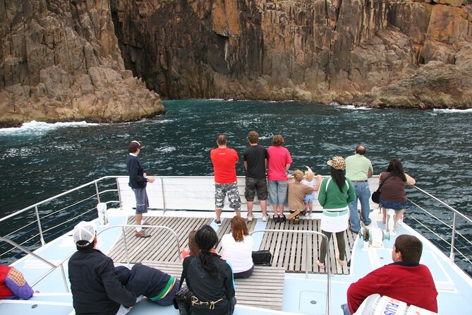 Port Stephens: Dolphin Watch Eco Adventure - Dolphin Searching in Port Stephens: What You Can Expect to See