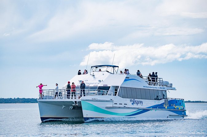 Port Stephens: Dolphin Watch Eco Adventure - Murphy’s Gap and Cabbage Tree Island: Offshore Views, Weather-Dependent