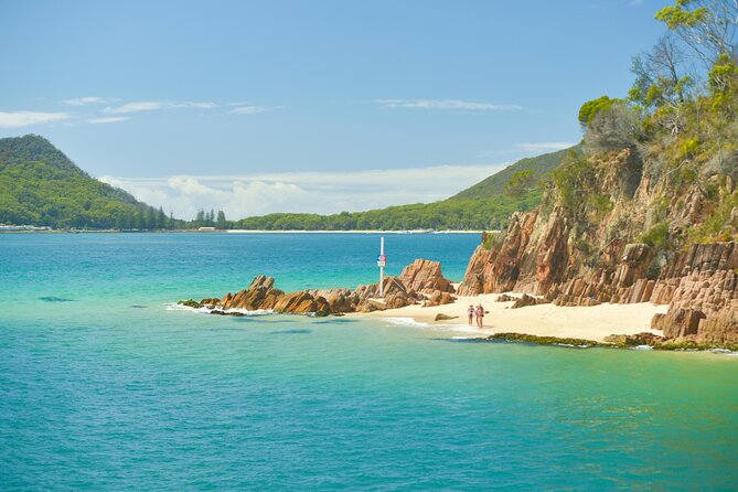 Port Stephens: Dolphin Watch Eco Adventure - Photo Opportunities: When the Water Turns Into a Viewfinder