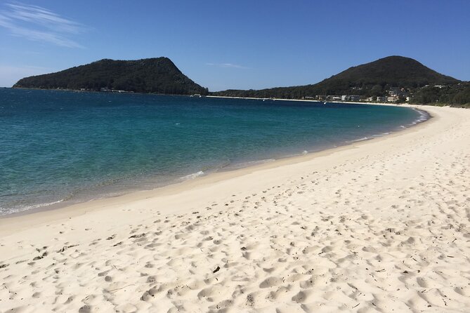 Port Stephens Private Tour From Sydney, with Dolphin/ Whale Cruise Options - Lunch at Nelson Bay Bowling and Recreation Club: good views, and it’s on you