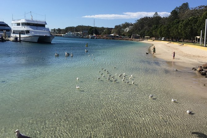 Port Stephens Private Tour From Sydney, with Dolphin/ Whale Cruise Options - Price and value: what $340.69 gets you (and what it doesn’t)