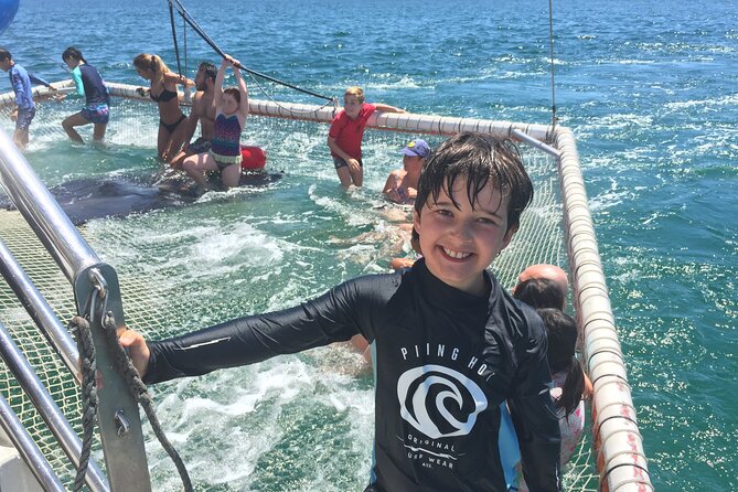 Port Stephens Private Tour From Sydney, with Dolphin/ Whale Cruise Options - Who should book this Port Stephens private tour
