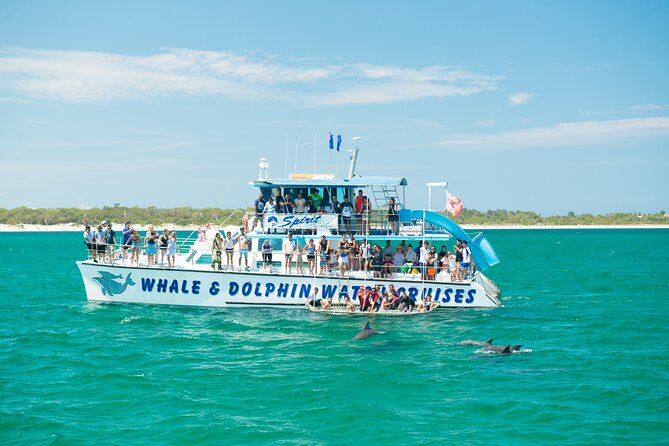 Port Stephens: Splash 'n' Slide Dolphin Cruise - Key things to know before you go