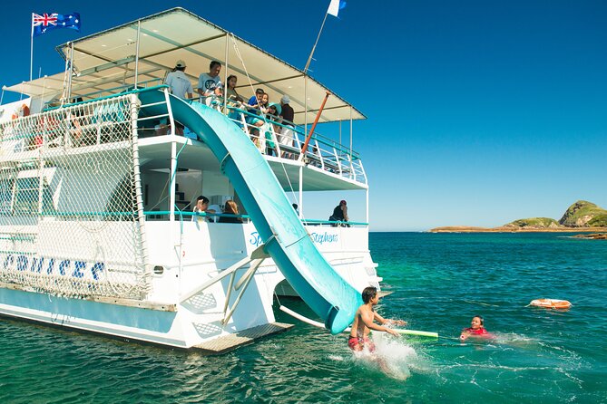 Port Stephens: Splash 'n' Slide Dolphin Cruise - Dolphin search out at sea: what “bottlenose close” can feel like