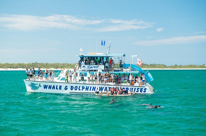 Port Stephens: Splash 'n' Slide Dolphin Cruise - Tips to make Wharf 1 day run smoother