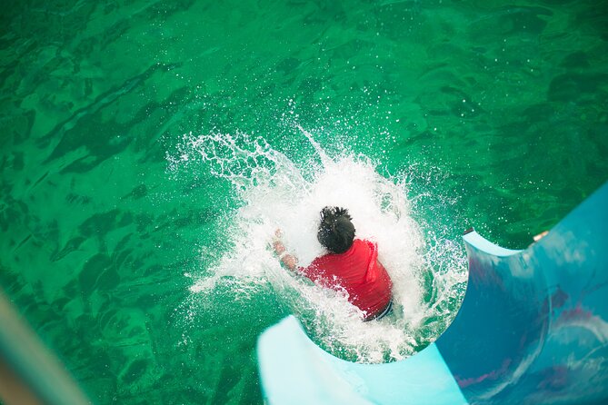 Port Stephens: Splash 'n' Slide Dolphin Cruise - Should you book the Splash ‘n’ Slide Dolphin Cruise?