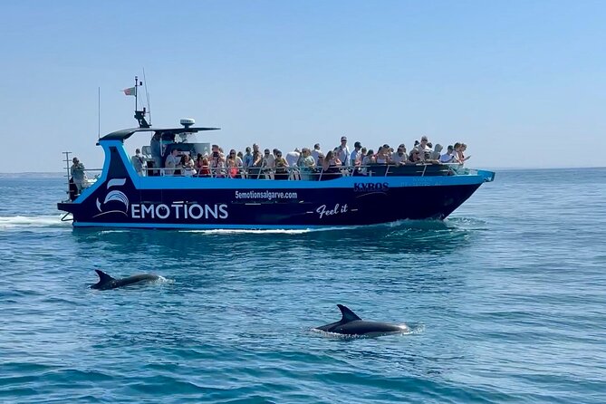 Portimão : 2.5 hours — Dolphins Watching — Biologist on Board - Key highlights that make this tour worth a look