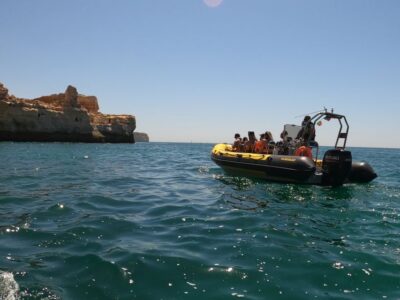 Portimão: 2-Hour Dolphin Watching Boat Tour - The 2-hour speed-boat rhythm: how dolphins fit into the schedule