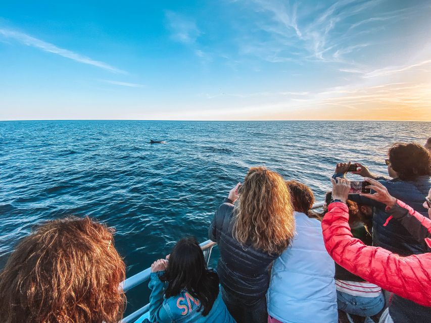 Portimão: Benagil Caves & Dolphins Watching with Biologist - Boat comfort, safety gear, and toilets on board