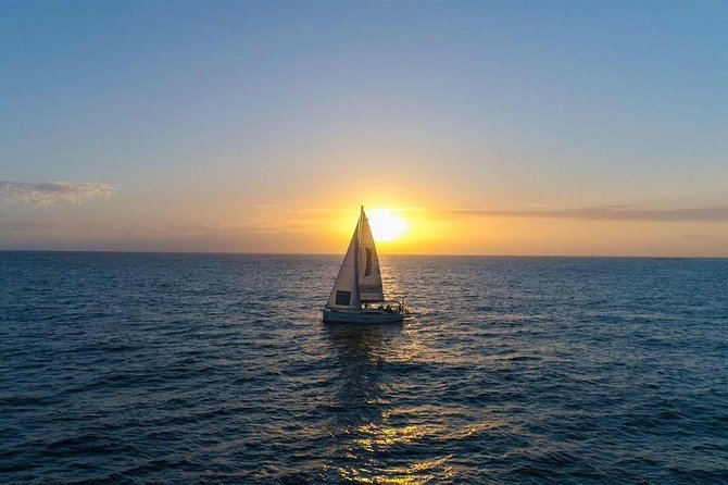 Premium All Inclusive Whale & Dolphin Watching Experience - Puerto Colón pickup: what matters before you even leave the dock