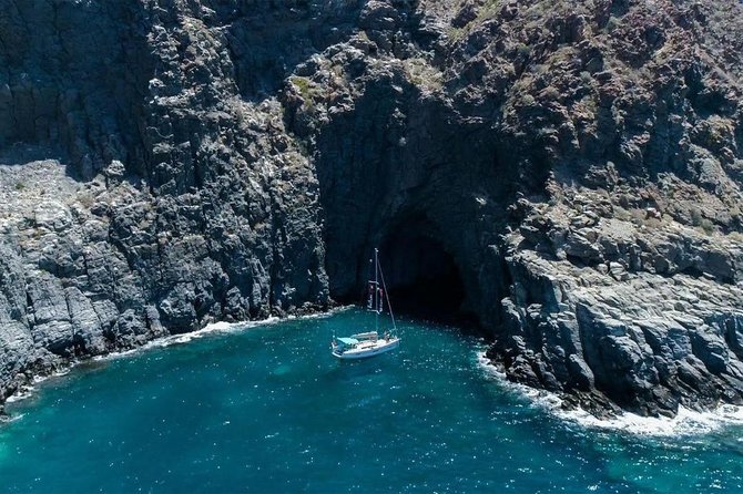 Premium All Inclusive Whale & Dolphin Watching Experience - Drinks, snacks, and why the all-inclusive part is more than comfort