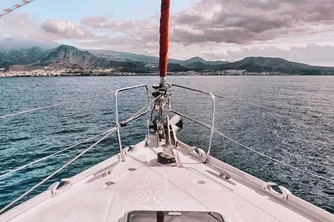 Premium All Inclusive Whale & Dolphin Watching Experience - Value check: is $21 a good deal for all-in whale watching?
