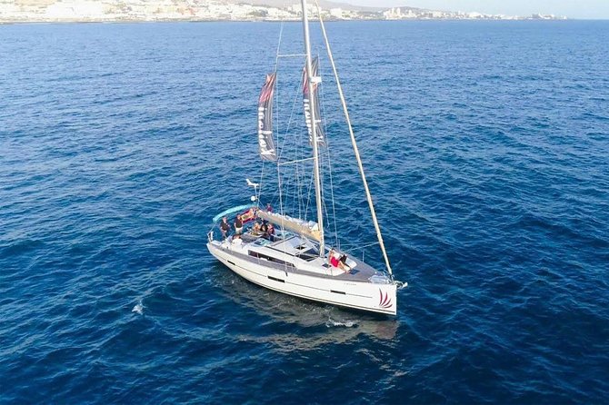 Premium All Inclusive Whale & Dolphin Watching Experience - The yacht cruise: how you actually find whales and dolphins