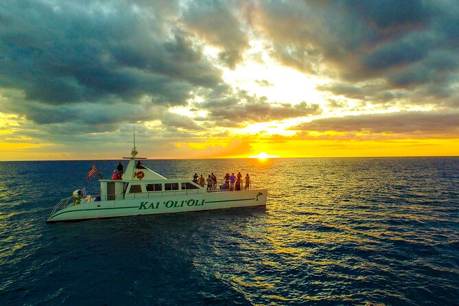 Premium Snorkel Sunset Cruise with Whale and Dolphin Watch - Key highlights to know before you go