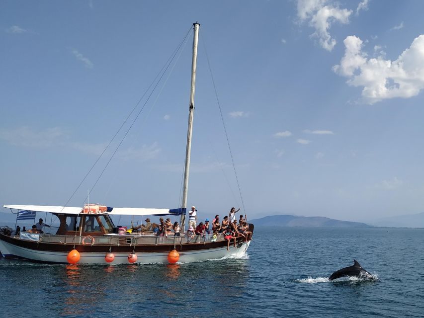 Preveza: Dolphin Watching Cruise with Lunch and Drinks - Why the Amvrakikos Gulf Matters for Dolphin Watching Near Preveza