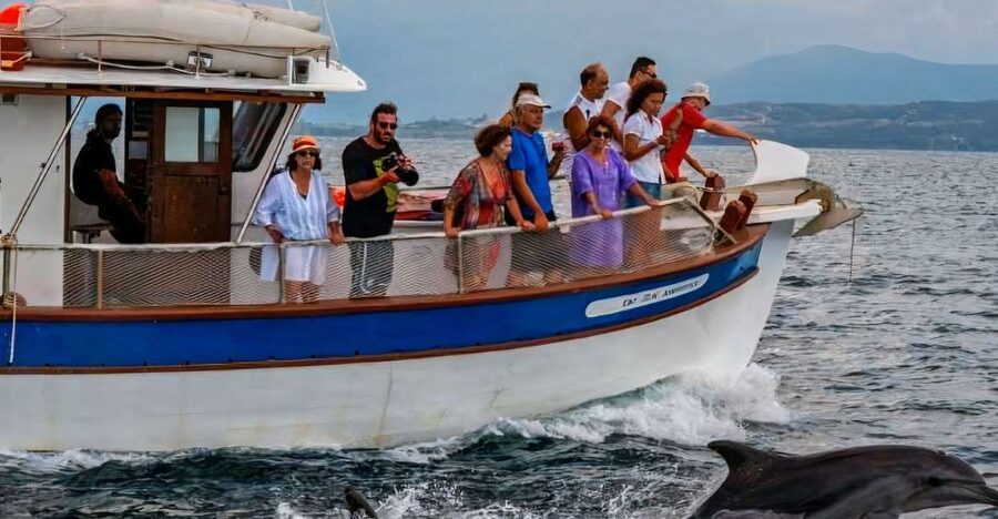 Preveza: Dolphin Watching Cruise with Lunch and Drinks - Dolphin Time: The Moments That Actually Feel Close