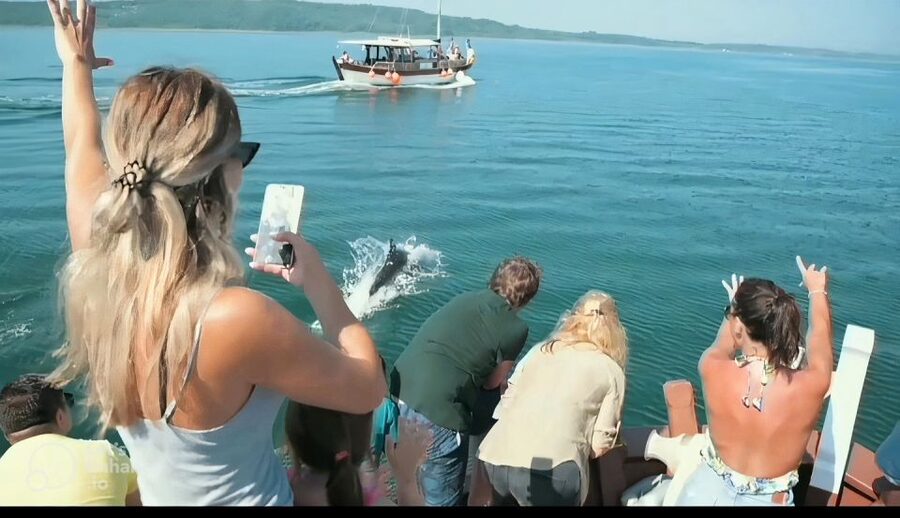 Preveza: Dolphin Watching Cruise with Lunch and Drinks - Lunch and Drinks Onboard: Comfort Food That Keeps You Going