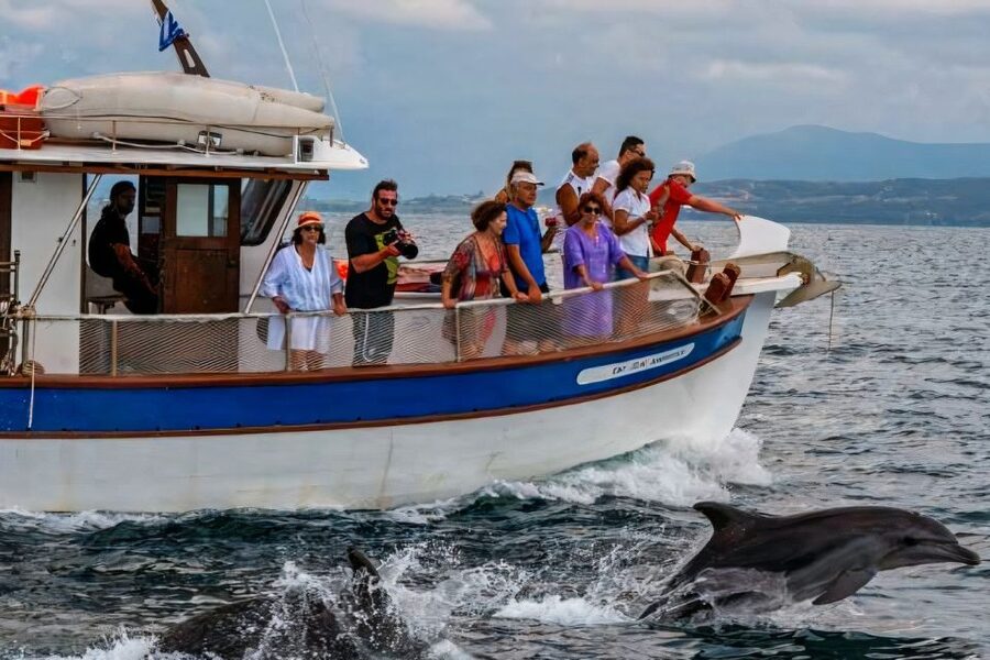 Preveza: Dolphin Watching Cruise with Lunch and Drinks - How the 5-Hour Schedule Feels in Real Time