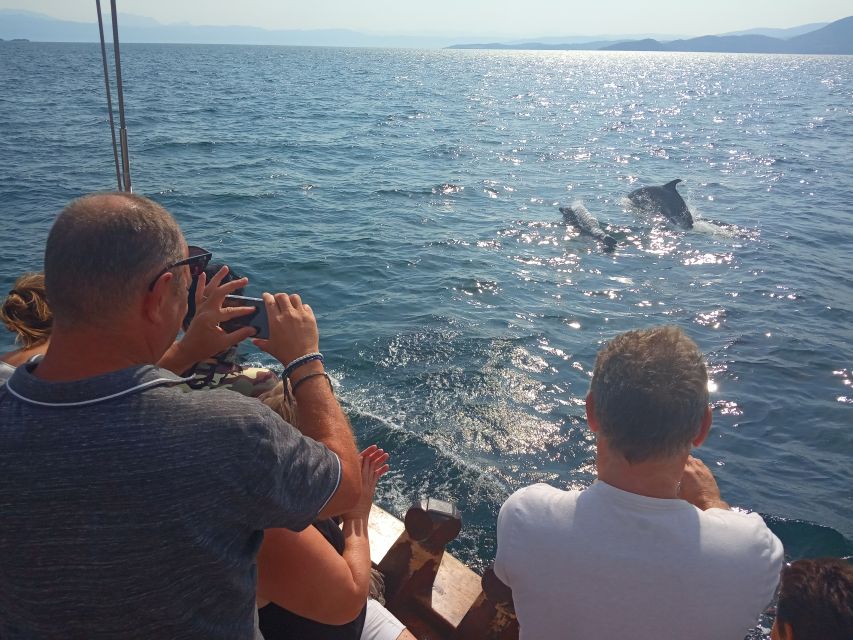 Preveza: Dolphin Watching Cruise with Lunch and Drinks - What You’ll Learn Along the Way (Beyond Dolphins)