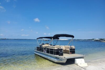 Private 2-Hour Dolphin and Sightseeing Tour - Dolphin watching in St. Andrews Bay, without the guesswork