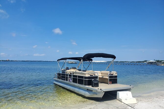 Private 2-Hour Dolphin and Sightseeing Tour - Dolphin watching in St. Andrews Bay, without the guesswork