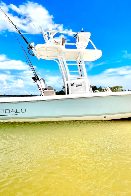 Private 2 Hour Dolphin & Eco Tour Marco Island, FL - Who this tour is best for (and who might want another option)