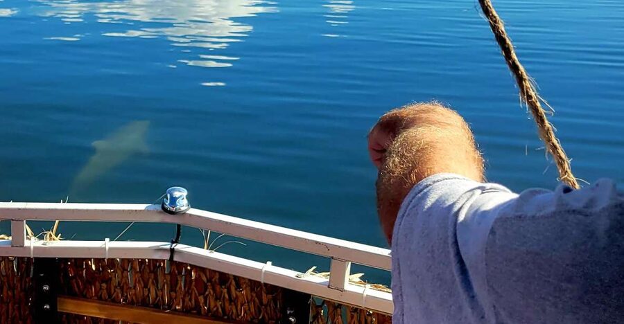 Private 2 hour Dolphin Sightseeing tour- Melbourne - Getting to Ballard Park in Melbourne (And Why That Matters)