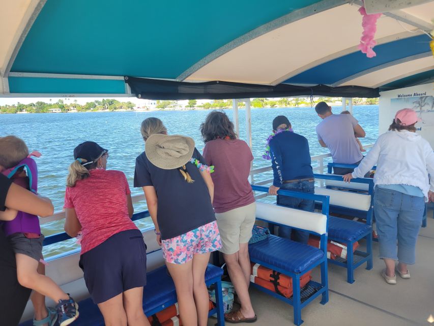 Private 2 hour Dolphin Sightseeing tour- Melbourne - Who This Tour Fits Best (And Who Might Want Something Longer)