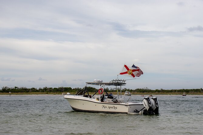 Private 2-Hour Dolphin Watching Cruise in St. Petersburg, FL - Dolphin Watching From the Dock: What Makes This Cruise Work