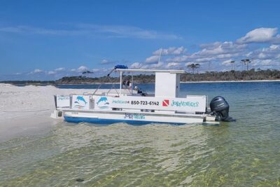 Private 3 Hour Powerboat Dolphin Cruise with Remote Beach Stop up to 6 guests - Pensacola in Motion: How the 3-Hour Powerboat Schedule Fits Together