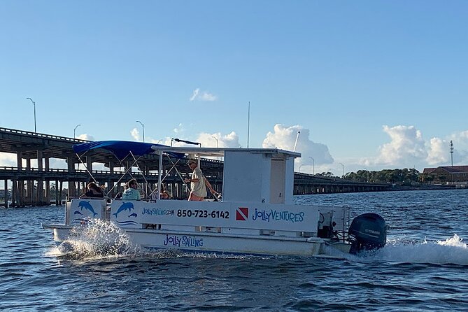 Private 3 Hour Powerboat Dolphin Cruise with Remote Beach Stop up to 6 guests - Marine Life Spotting With Captain Paul: Dolphins First, Then Other Surprises