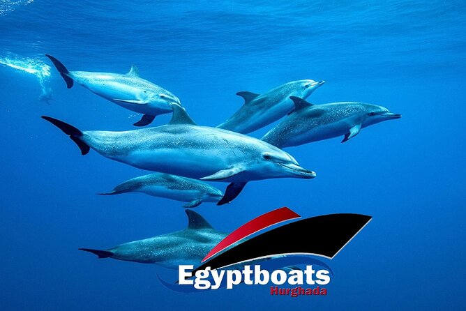 PRIVATE! | 4-hour Speed Boat Trip | Swim With Dolphins, Snorkeling & Island - Giftun Islands: quick island time and a sense of place