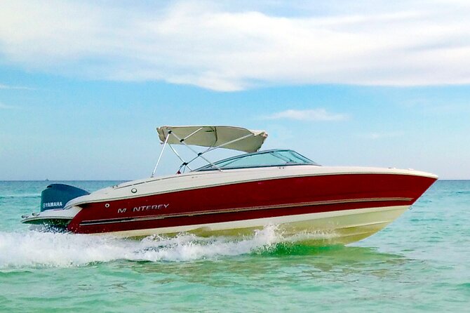 PRIVATE! | 4-hour Speed Boat Trip | Swim With Dolphins, Snorkeling & Island - Abu Minqar Island and the shipwreck finale