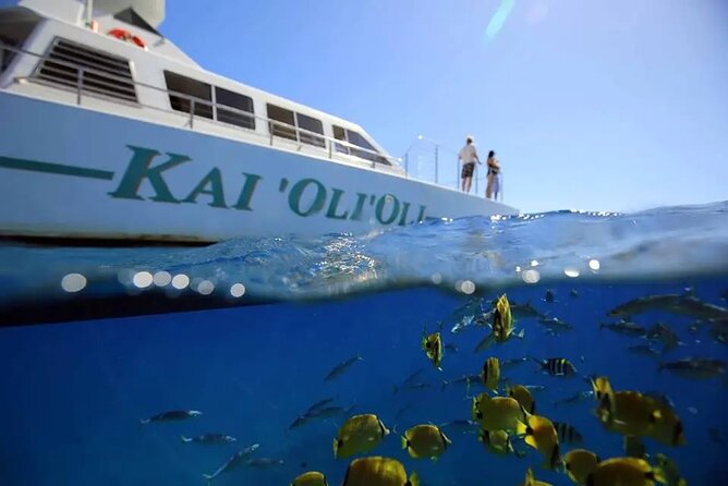 Private and Luxurious Sunset Cruise with Whale & Dolphin Watch - Quick highlights you’ll care about